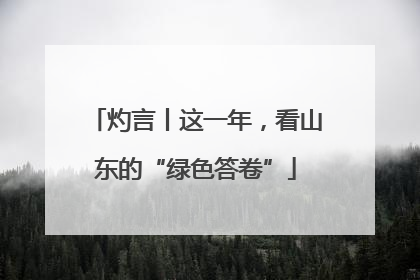 灼言丨这一年，看山东的“绿色答卷”