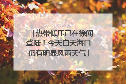 热带低压已在徐闻登陆！今天白天海口仍有明显风雨天气