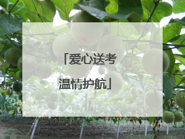 爱心送考 温情护航