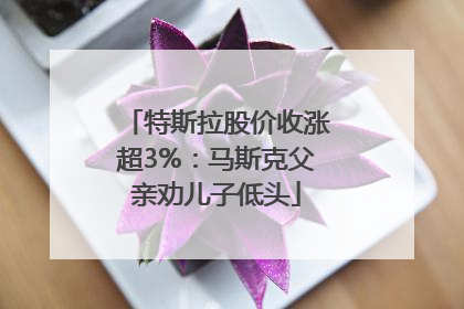 特斯拉股价收涨超3%：马斯克父亲劝儿子低头