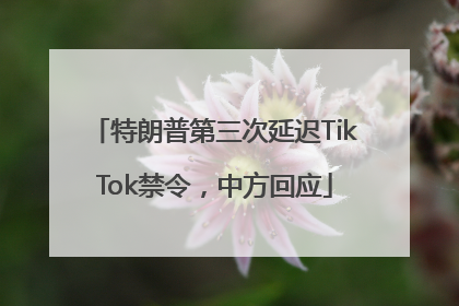 特朗普第三次延迟TikTok禁令，中方回应
