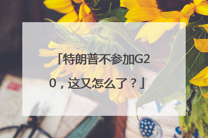 特朗普不参加G20，这又怎么了？