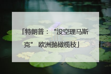 特朗普：“没空理马斯克” 欧洲抛橄榄枝
