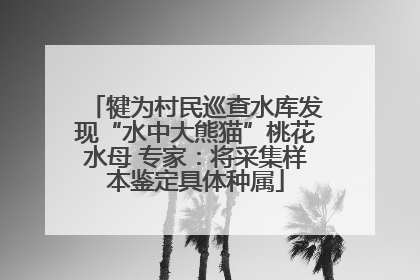 犍为村民巡查水库发现“水中大熊猫”桃花水母 专家：将采集样本鉴定具体种属