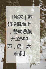 独家｜苏超逆流而上，赞助费飙升至300万，仍一席难求