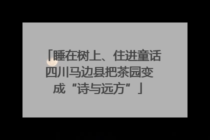 睡在树上、住进童话 四川马边县把茶园变成“诗与远方”
