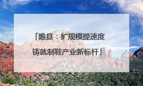 睢县：扩规模提速度 铸就制鞋产业新标杆