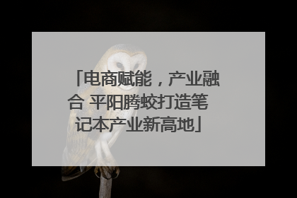 电商赋能，产业融合 平阳腾蛟打造笔记本产业新高地