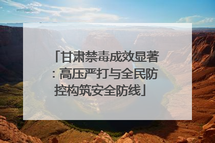 甘肃禁毒成效显著：高压严打与全民防控构筑安全防线