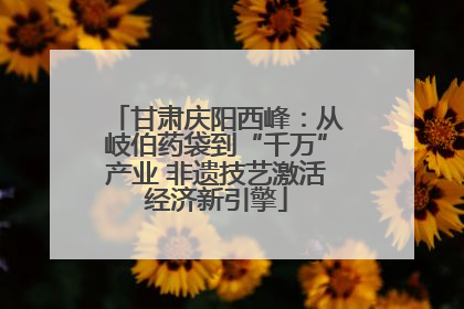 甘肃庆阳西峰：从岐伯药袋到“千万”产业 非遗技艺激活经济新引擎