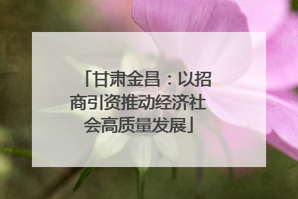 甘肃金昌：以招商引资推动经济社会高质量发展