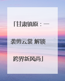 甘肃镇原：一袭剪云裳 解锁跨界新风尚