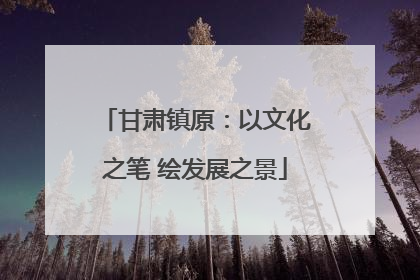 甘肃镇原：以文化之笔 绘发展之景