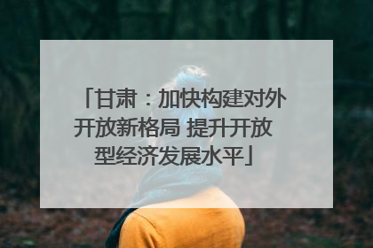 甘肃：加快构建对外开放新格局 提升开放型经济发展水平