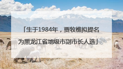 生于1984年，贾牧樵拟提名为黑龙江省地级市副市长人选