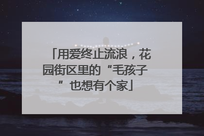 用爱终止流浪，花园街区里的“毛孩子”也想有个家