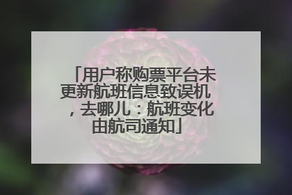 用户称购票平台未更新航班信息致误机，去哪儿：航班变化由航司通知