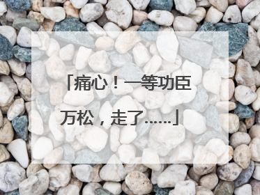 痛心！一等功臣万松，走了……