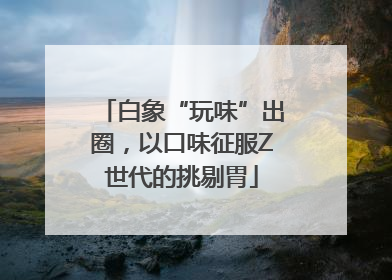 白象“玩味”出圈，以口味征服Z世代的挑剔胃
