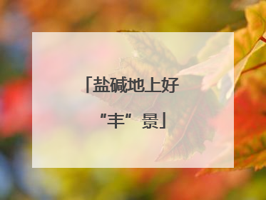 盐碱地上好“丰”景