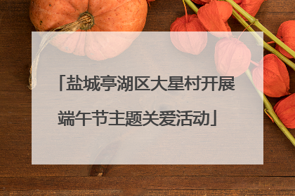 盐城亭湖区大星村开展端午节主题关爱活动