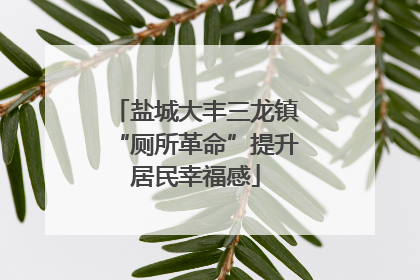 盐城大丰三龙镇“厕所革命”提升居民幸福感