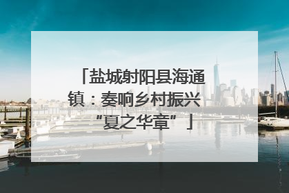 盐城射阳县海通镇：奏响乡村振兴“夏之华章”