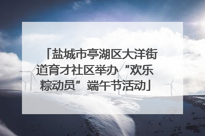 盐城市亭湖区大洋街道育才社区举办“欢乐粽动员”端午节活动
