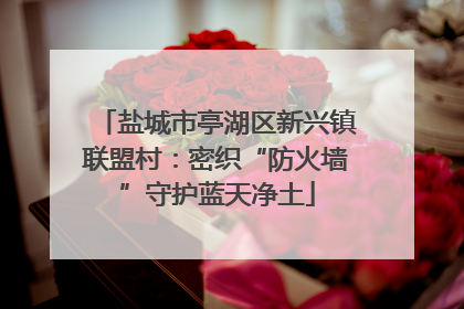 盐城市亭湖区新兴镇联盟村：密织“防火墙”守护蓝天净土
