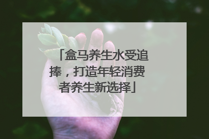 盒马养生水受追捧，打造年轻消费者养生新选择
