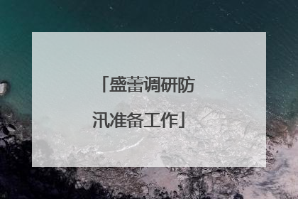盛蕾调研防汛准备工作