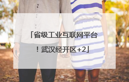 省级工业互联网平台！武汉经开区+2