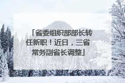 省委组织部部长转任新职！近日，三省常务副省长调整