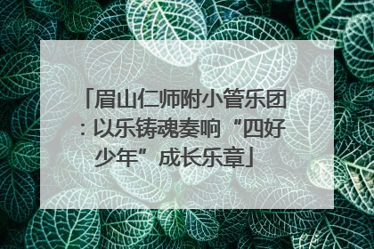眉山仁师附小管乐团：以乐铸魂奏响“四好少年”成长乐章