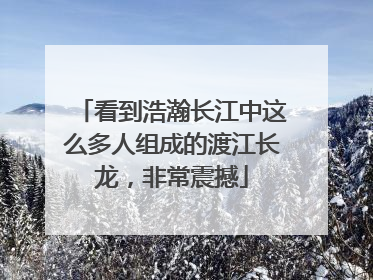 看到浩瀚长江中这么多人组成的渡江长龙，非常震撼