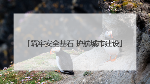 筑牢安全基石 护航城市建设