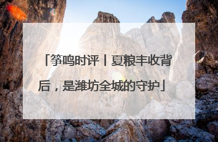 筝鸣时评丨夏粮丰收背后，是潍坊全城的守护