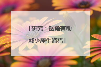 研究：锯角有助减少犀牛盗猎