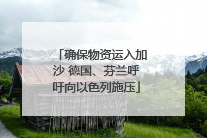 确保物资运入加沙 德国、芬兰呼吁向以色列施压