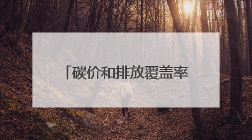 碳价和排放覆盖率双升 全球碳定价收入超千亿美元