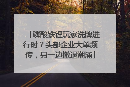 磷酸铁锂玩家洗牌进行时？头部企业大单频传，另一边撤退潮涌