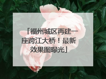 福州城区再建一座跨江大桥！最新效果图曝光