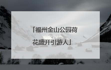 福州金山公园荷花盛开引游人