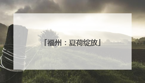 福州：夏荷绽放