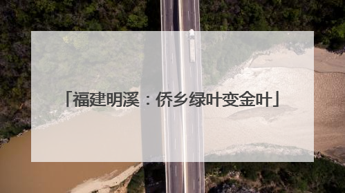 福建明溪：侨乡绿叶变金叶