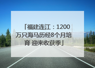福建连江：1200万只海马历经8个月培育 迎来收获季