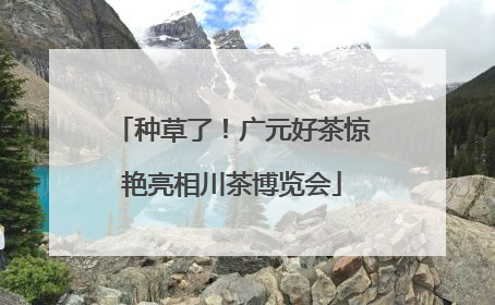 种草了！广元好茶惊艳亮相川茶博览会