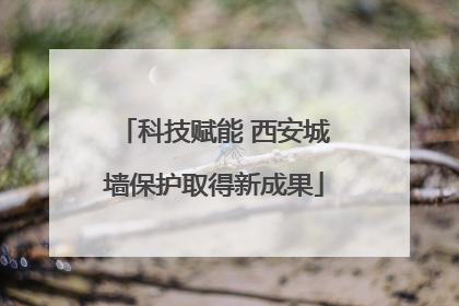 科技赋能 西安城墙保护取得新成果