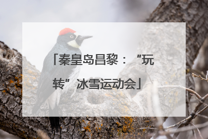 秦皇岛昌黎：“玩转”冰雪运动会