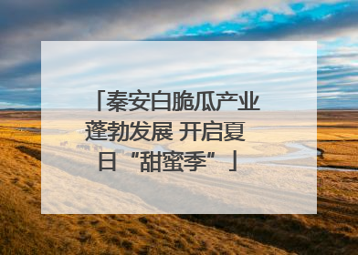 秦安白脆瓜产业蓬勃发展 开启夏日“甜蜜季”